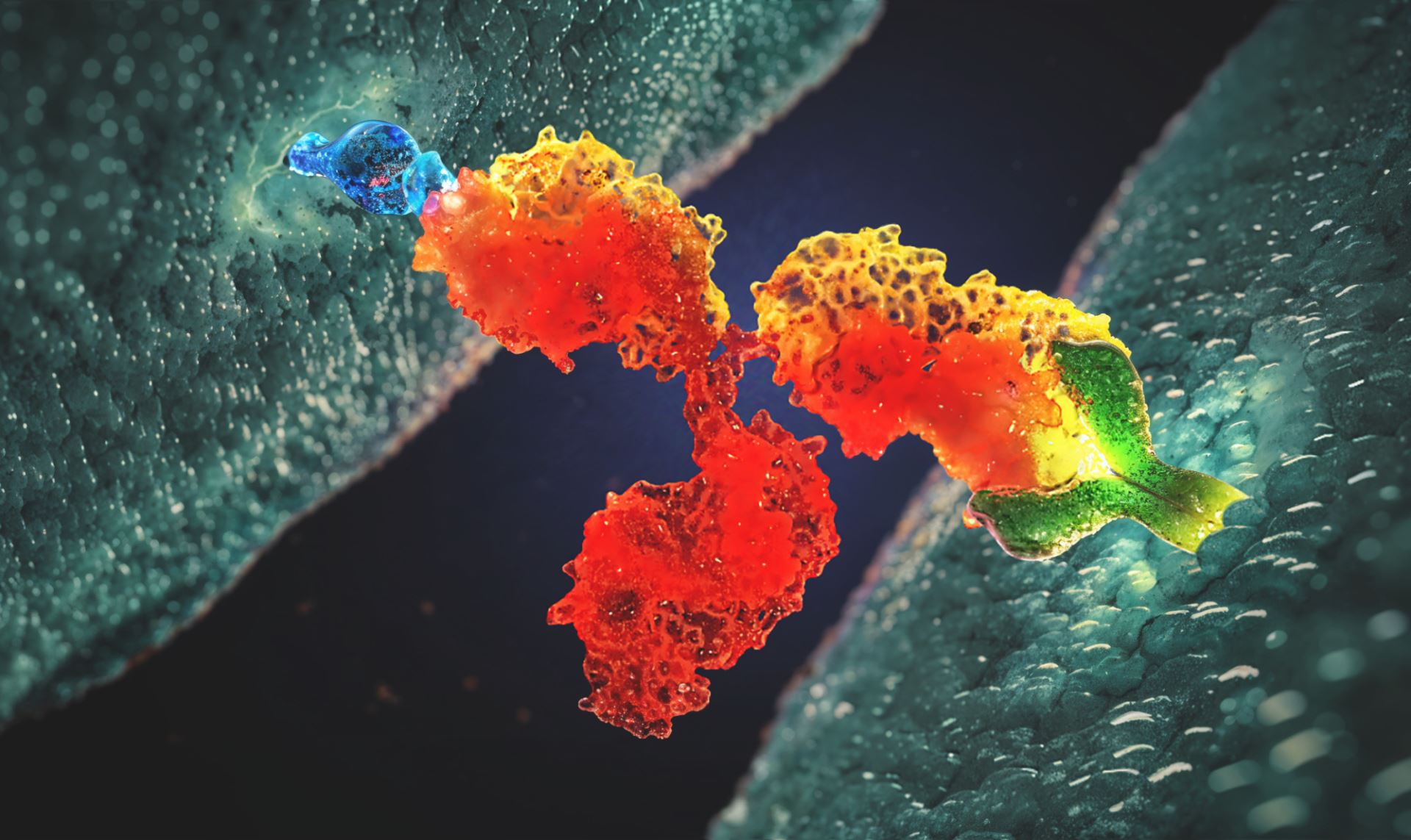 İzlenmesi Gereken İlaçlar: Kişiselleştirilmiş Tıpta Bispefisik Antikorların Genişleyen Rolü