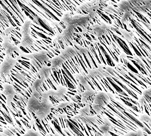 Hidrofobik PTFE (Politetra-Floretilen) Membran Filtreleri