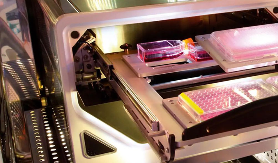 Incucyte® Gelişmiş 3D Hücre Modelleri ile  Araştırmanızı Güçlendirin